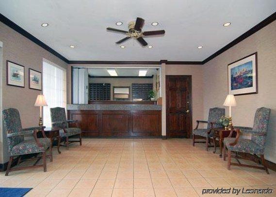Suburban Studios Near University Of North Carolina-שרלוט מראה חיצוני תמונה